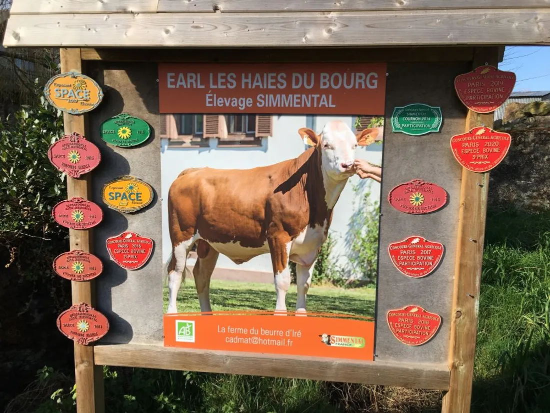 Concours Simmental_24 02 22_AVC